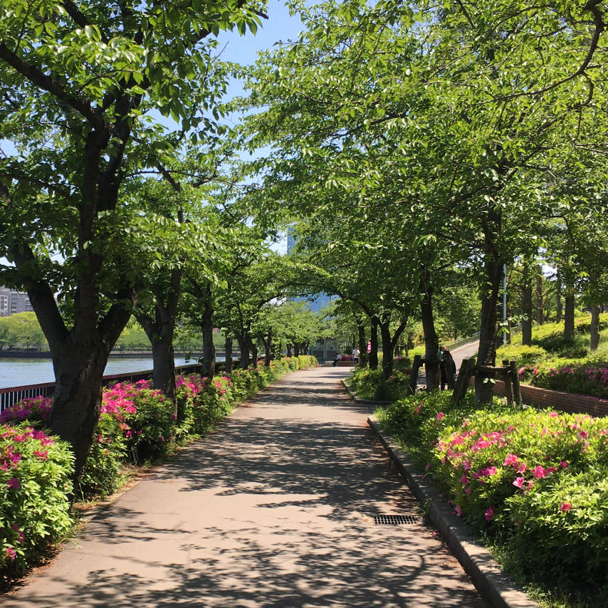 Explore los lugares más encantadores de Osaka, como este carril bici, con el RBRJ Osaka Harbor Cycling Tour.