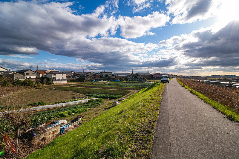 Une photo le long de la piste cyclable Katsuragawa/Yodogawa.