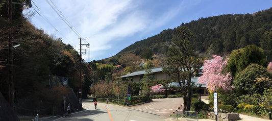 The beautiful hills of Minoh just near Katsuoji temple.