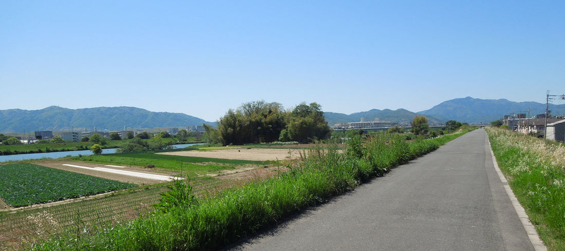 The view from the cycle path on the Osaka to Kyoto, Arashiyama cycling route.