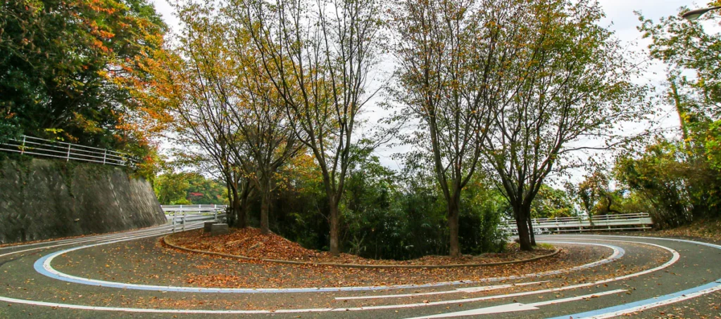 Autumn Season is one of the most beautiful times to cycle, especially in the Minoh hills as pictured here