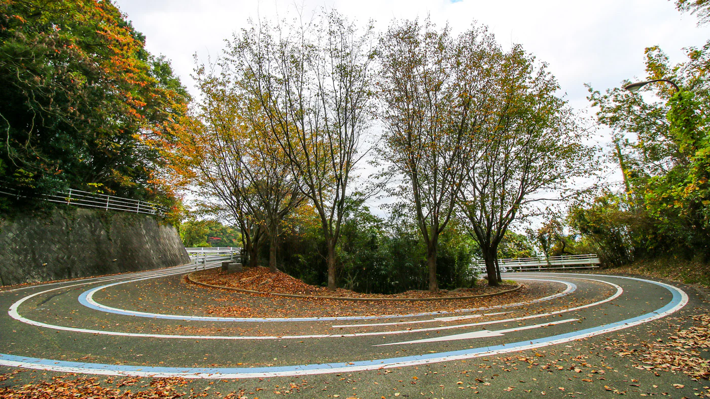 Autumn Season is one of the most beautiful times to cycle, especially in the Minoh hills as pictured here