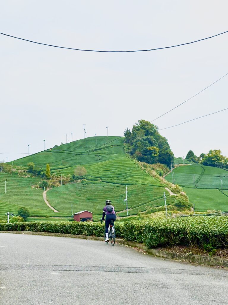 Cycling in Kyoto Countryside Wazuka