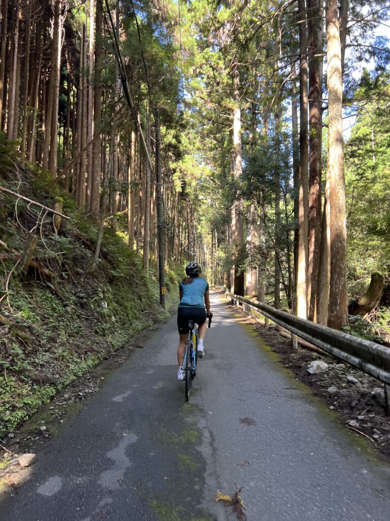 Private and Customized Bike Tour in Kyoto